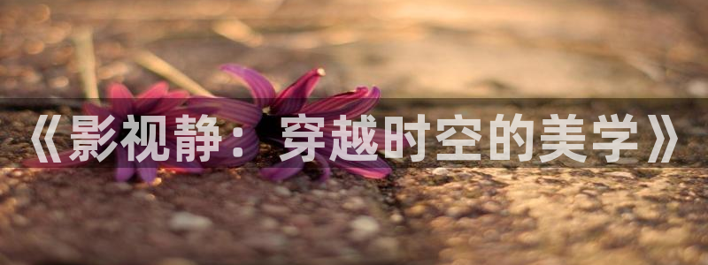 麻豆电影：《影视静：穿越时空的美学》
