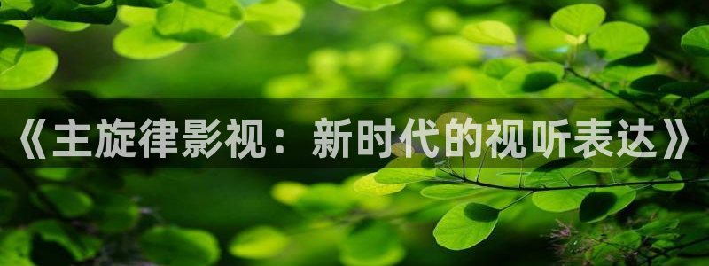 麻豆 看片：《主旋律影视：新时代的视听表达》