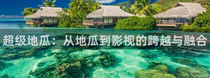 一区二区三区麻豆蜜桃视频：超级地瓜：从地瓜到影视的跨越与融合