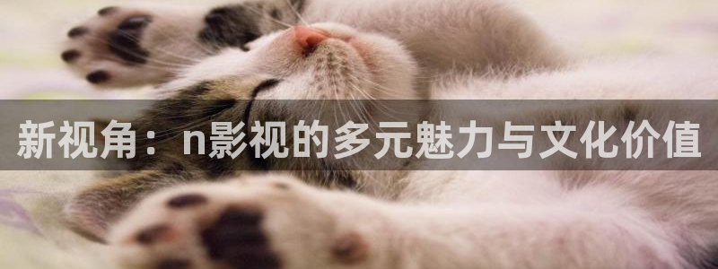 www.麻豆全部视频