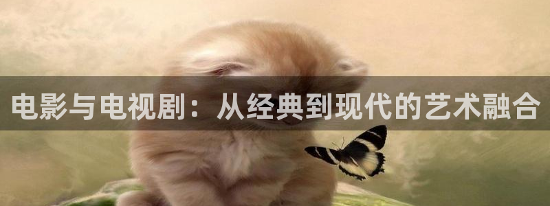 国产麻豆片免费看